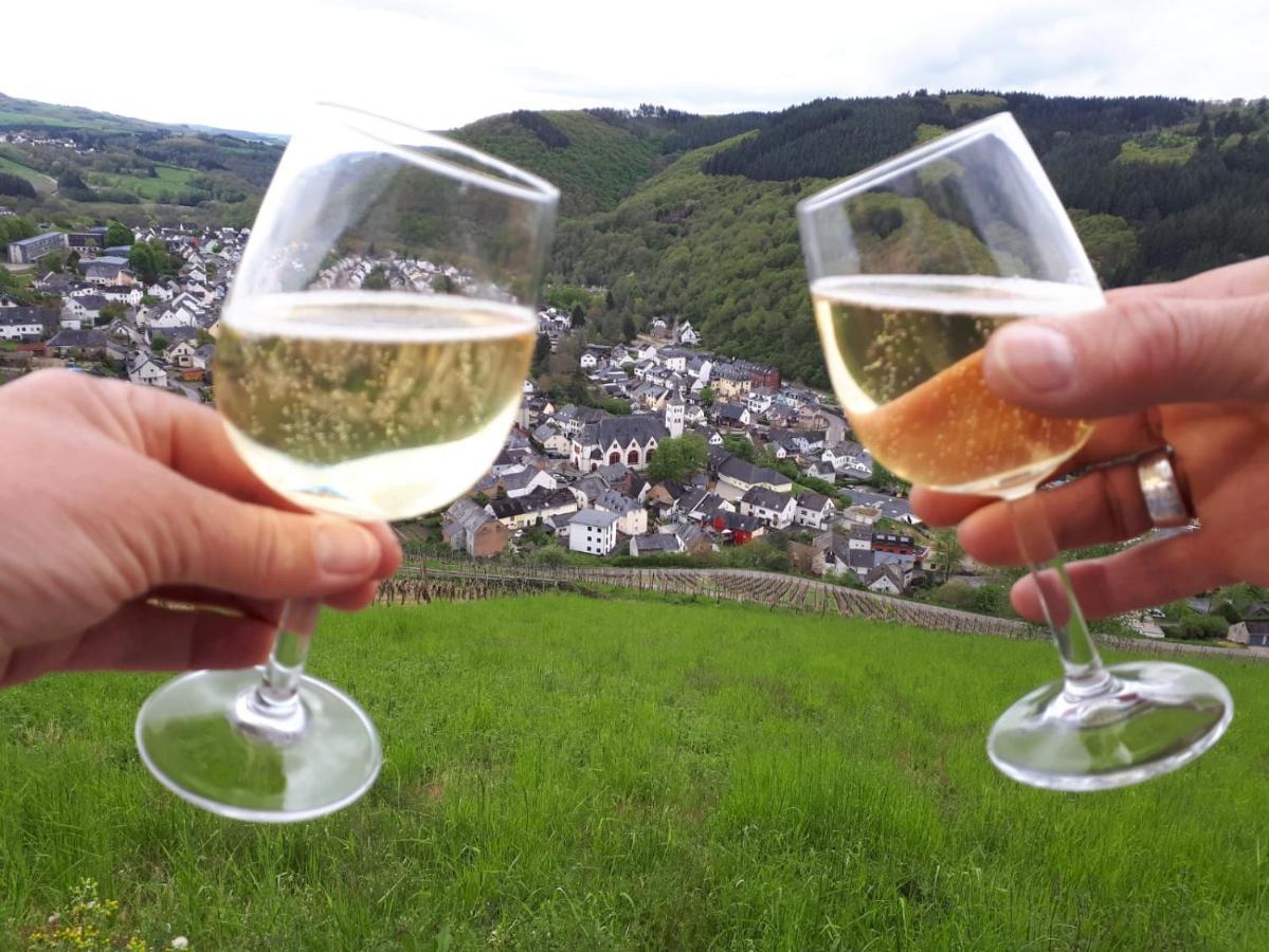 Domizil Am Dom *