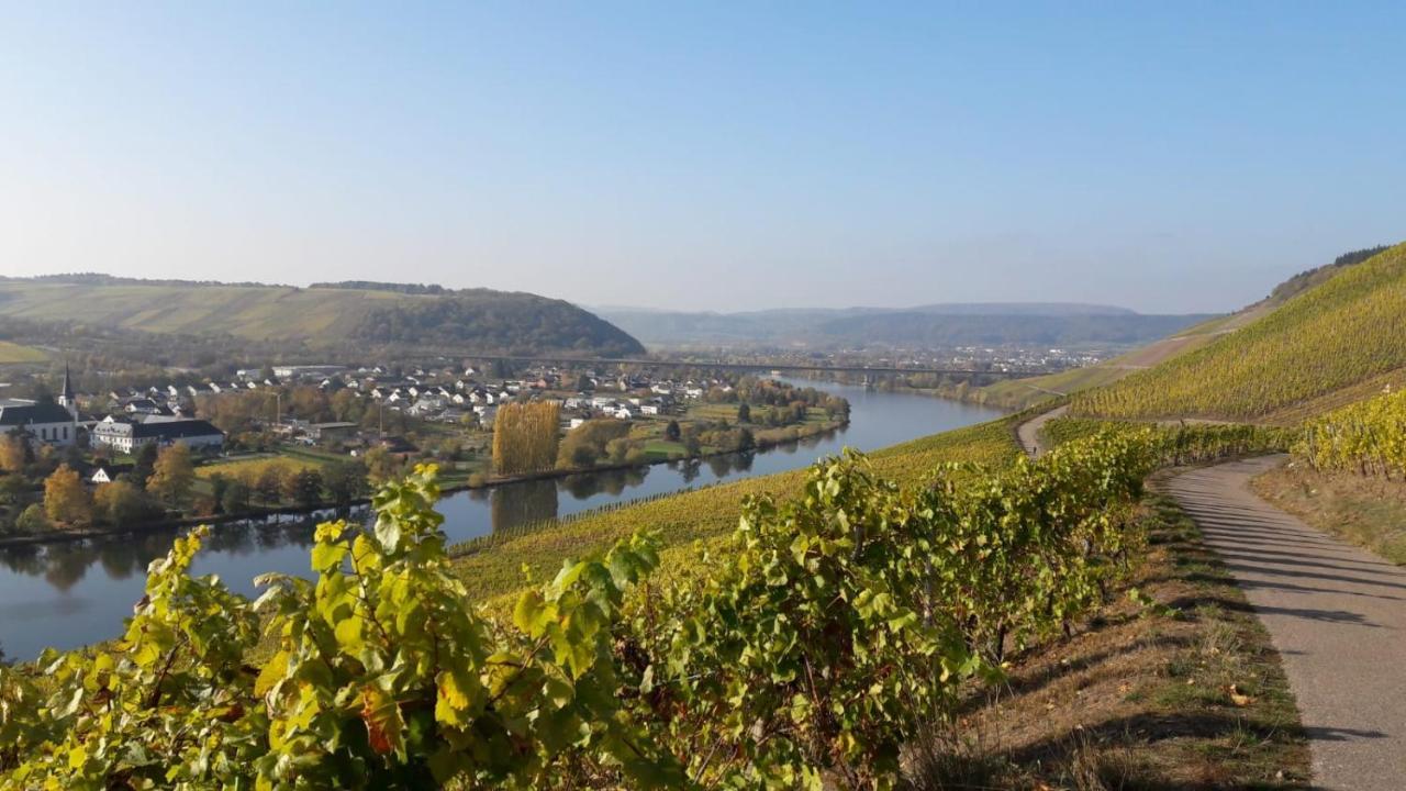 Domizil Am Dom Trier